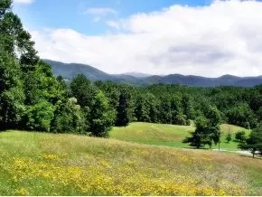 630 Browns Branch Road Hampton Tn 37658, Hampton, TN 37658 photo 15