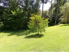 171 Morgan Lane Fall Branch Tn 37656, Fall Branch, TN 37656 photo 19