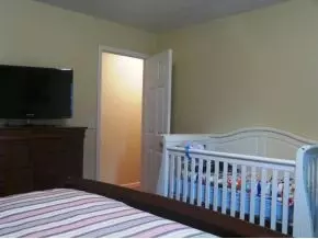 214 Sunny Hill Court Fall Branch Tn 37656, Fall Branch, TN 37656 photo 9