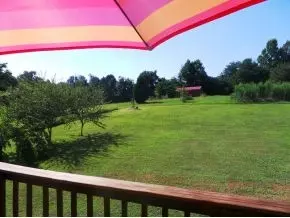 214 Sunny Hill Court Fall Branch Tn 37656, Fall Branch, TN 37656 photo 19