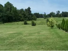 203 Keys Road Limestone Tn 37681, Limestone, TN 37681 photo 17