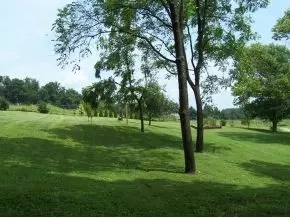 203 Keys Road Limestone Tn 37681, Limestone, TN 37681 photo 16