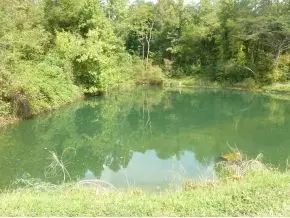 1500 Ryan Road Fall Branch Tn 37656, Fall Branch, TN 37656 photo 7