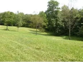 1500 Ryan Road Fall Branch Tn 37656, Fall Branch, TN 37656 photo 5