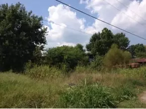 645 Mount Hope Road Mohawk Tn 37810, Mohawk, TN 37810 photo 3