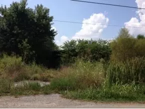 645 Mount Hope Road Mohawk Tn 37810, Mohawk, TN 37810 photo 2
