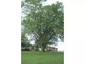 115 Windsong Gray Tn 37615, Gray, TN 37615 photo 22