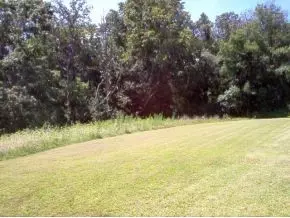 3259 Glendale Road Bybee Tn 37713, Bybee, TN 37713 photo 22