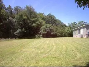 3259 Glendale Road Bybee Tn 37713, Bybee, TN 37713 photo 3