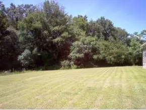 3259 Glendale Road Bybee Tn 37713, Bybee, TN 37713 photo 2
