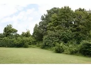 2576 Devault Bridge Road Piney Flats Tn 37686, Piney Flats, TN 37686 photo 19