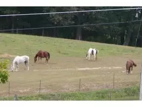 153 Washington College Station Road Limestone Tn 37681, Limestone, TN 37681 photo 7