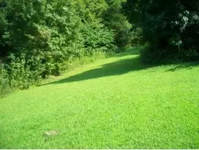 485 Foxgate Trail Mohawk Tn 37810, Mohawk, TN 37810 photo 26