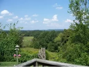 485 Foxgate Trail Mohawk Tn 37810, Mohawk, TN 37810 photo 21