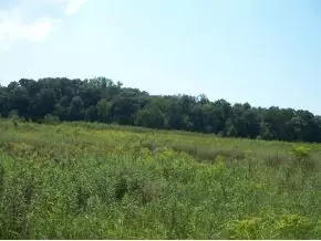 485 Foxgate Trail Mohawk Tn 37810, Mohawk, TN 37810 photo 25