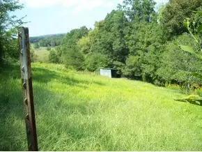 485 Foxgate Trail Mohawk Tn 37810, Mohawk, TN 37810 photo 27
