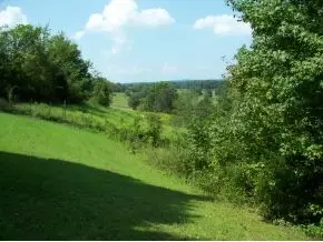 485 Foxgate Trail Mohawk Tn 37810, Mohawk, TN 37810 photo 28