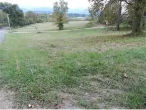 144 Pig Broyles Road Limestone Tn 37681, Limestone, TN 37681 photo 4