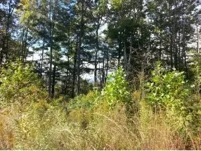 1088 Shiloh Road Erwin Tn 37650, Erwin, TN 37650 photo 5