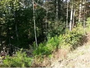 1088 Shiloh Road Erwin Tn 37650, Erwin, TN 37650 photo 2