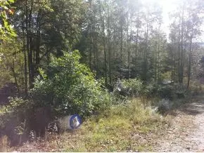 1088 Shiloh Road Erwin Tn 37650, Erwin, TN 37650 photo 4