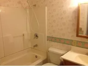 106 Cairo Drive Gray Tn 37615, Gray, TN 37615 photo 10