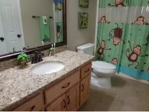 124 Brittany Drive Gray Tn 37615, Gray, TN 37615 photo 14