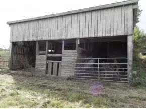 775 Bowmantown Limestone Tn 37681, Limestone, TN 37681 photo 19