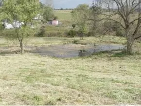 775 Bowmantown Limestone Tn 37681, Limestone, TN 37681 photo 17