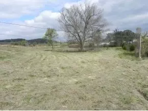 775 Bowmantown Limestone Tn 37681, Limestone, TN 37681 photo 16
