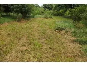 1527 Prairie Road Talbott Tn 37877, Talbott, TN 37877 photo 13
