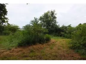 1527 Prairie Road Talbott Tn 37877, Talbott, TN 37877 photo 15