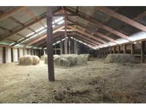 1527 Prairie Road Talbott Tn 37877, Talbott, TN 37877 photo 19