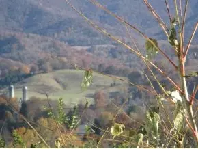 237 Riggs Road Watauga Tn 37694, Watauga, TN 37694 photo 18