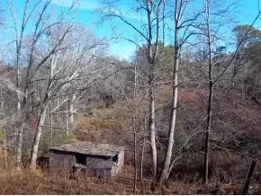 653 Peterson Road Erwin Tn 37650, Erwin, TN 37650 photo 3