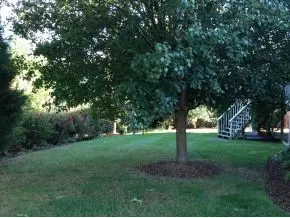 2405 Granite Drive Johnson City Tn 37604, Johnson City, TN 37604 photo 18