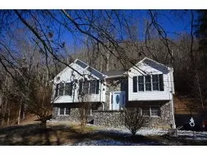 207 Odom Branch Road Erwin Tn 37650, Erwin, TN 37650 photo 1