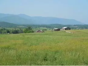 1375 Wilhoit Road Chuckey Tn 37641, Chuckey, TN 37641 photo 23