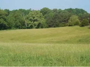 1375 Wilhoit Road Chuckey Tn 37641, Chuckey, TN 37641 photo 24