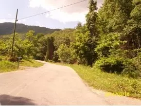 429 Bearfield Road Chuckey Tn 37641, Chuckey, TN 37641 photo 1