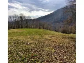 105 Be Wilson Lane Flag Pond Tn 37657, Flag Pond, TN 37657 photo 7