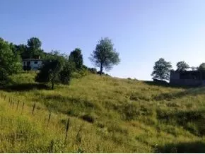 168 Lemons Road Eidson Tn 37731, Eidson, TN 37731 photo 16