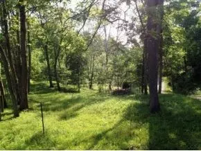 168 Lemons Road Eidson Tn 37731, Eidson, TN 37731 photo 11
