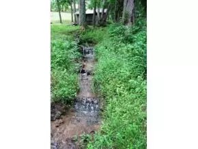 168 Lemons Road Eidson Tn 37731, Eidson, TN 37731 photo 18