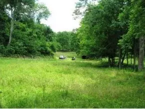 168 Lemons Road Eidson Tn 37731, Eidson, TN 37731 photo 17