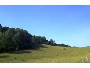168 Lemons Road Eidson Tn 37731, Eidson, TN 37731 photo 12