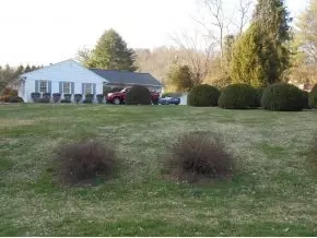 300 Maple Tree Drive Bristol Tn 37620, Bristol, TN 37620 photo 23