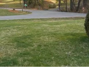 300 Maple Tree Drive Bristol Tn 37620, Bristol, TN 37620 photo 22