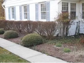 300 Maple Tree Drive Bristol Tn 37620, Bristol, TN 37620 photo 21