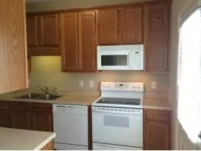 118 Patrick Lane Gray Tn 37615, Gray, TN 37615 photo 4